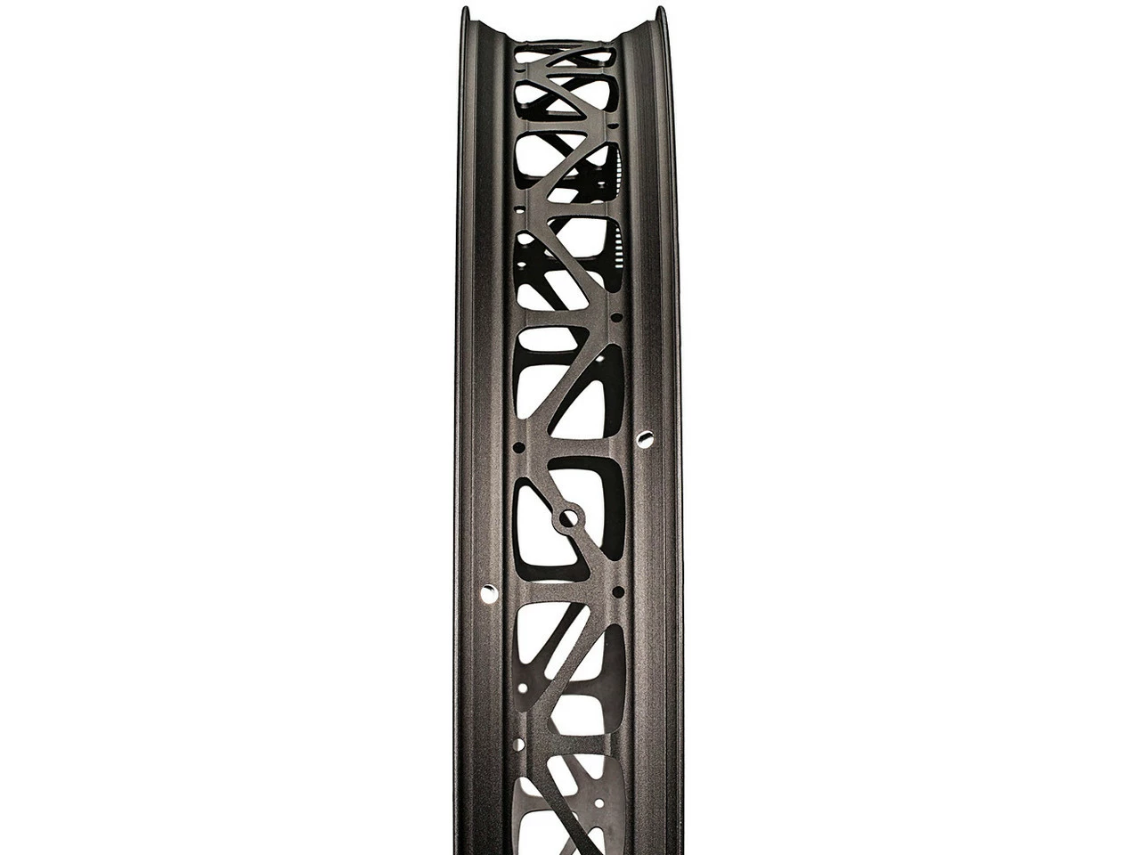 Dt-swiss Llanta BR 710 Big Ride Disc 26" 6 Dt-swiss Llanta BR 710 Big Ride Disc 26" - Imagen 4