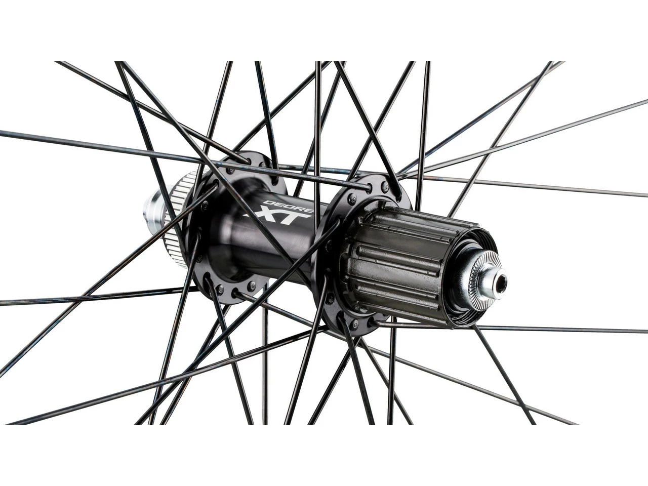 Bc Basic Rueda Mountain XT Disc Center Lock 29" 4 Bc Basic Rueda Mountain XT Disc Center Lock 29" - Imagen 2