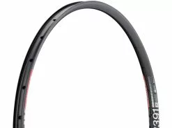Dt-swiss Llanta XR 391 Disc 29"