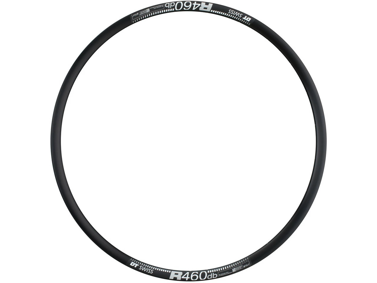 Dt-swiss Llanta R 460 DB Disc Road 4 Dt-swiss Llanta R 460 DB Disc Road - Imagen 2