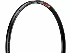 Dt-swiss Llanta XM 481 Disc 29"