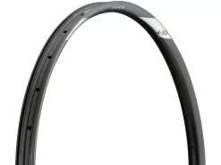 Newmen Llanta De Carbono Advanced SL A.30 Disc 29"
