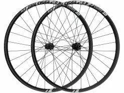 Dt-swiss Juego De Ruedas FR 1950 CLASSIC 30 Boost Disc Center Lock 29"