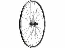 Bc Basic Juego De Ruedas Race Shimano 105 DT Swiss R 460 28" -Ruedas 28" Tienda de ventas 396206
