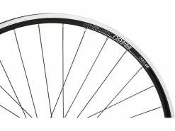 Bc Basic Juego De Ruedas Race Shimano 105 DT Swiss R 460 28" -Ruedas 28" Tienda de ventas 396208