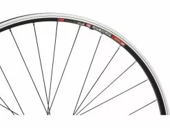 Bc Basic Juego De Ruedas Urban XT V-Brake / Disc Center Lock DT Swiss 535 28" -Ruedas 28" Tienda de ventas 396867