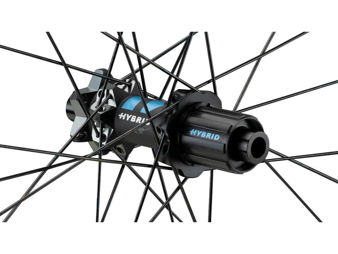 Dt-swiss Rueda HX 1501 SPLINE 25 Boost Disc 6 Agujeros Hybrid 29" 8 Dt-swiss Rueda HX 1501 SPLINE 25 Boost Disc 6 Agujeros Hybrid 29" - Imagen 6